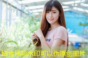 How to conduct an effective election campaign in Shanghai