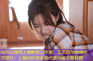 工艺品与地域经济提升:上海的扶贫实验 工艺品与地域经济提升:上海的扶贫实验